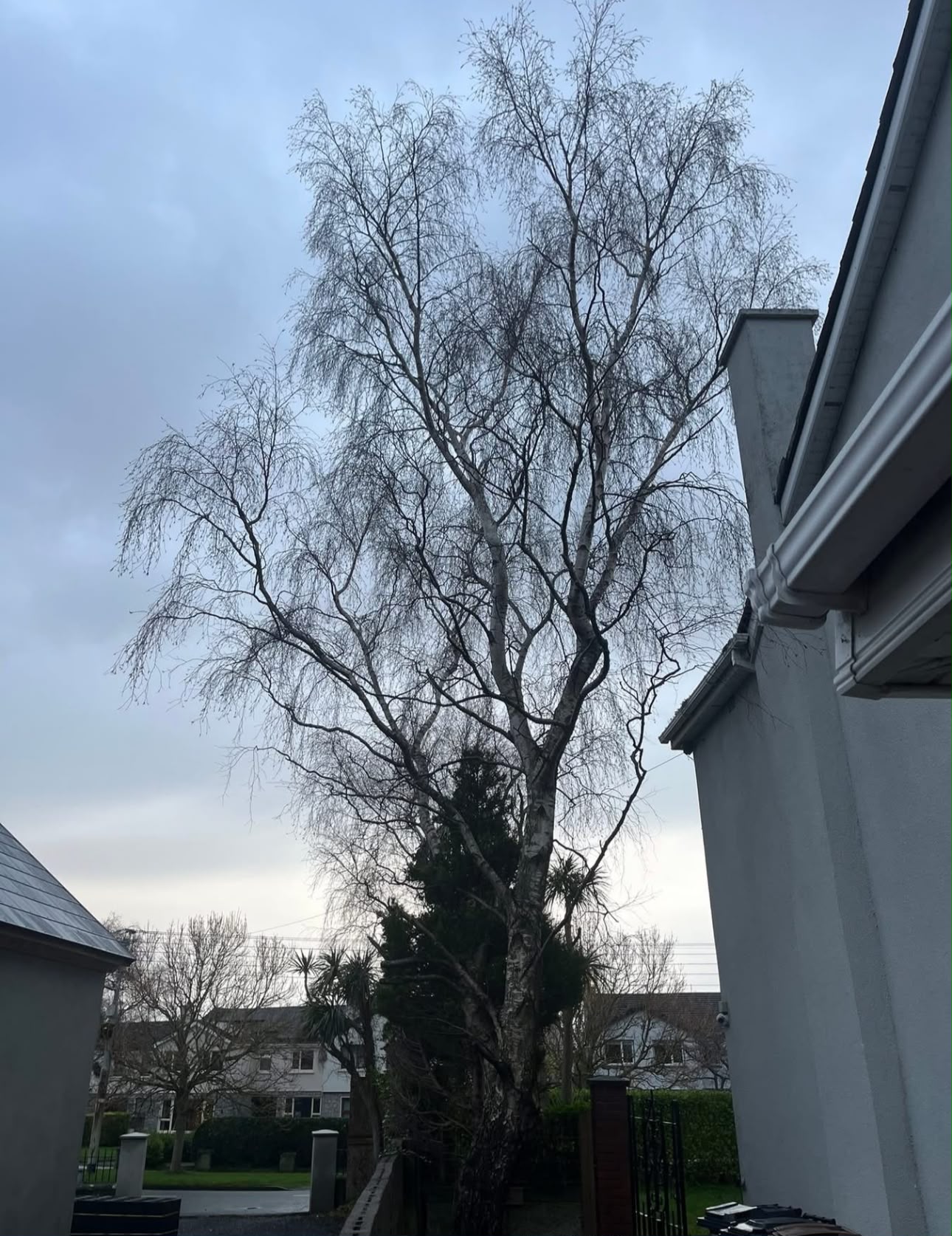 Garden and tree care services - All Seasons