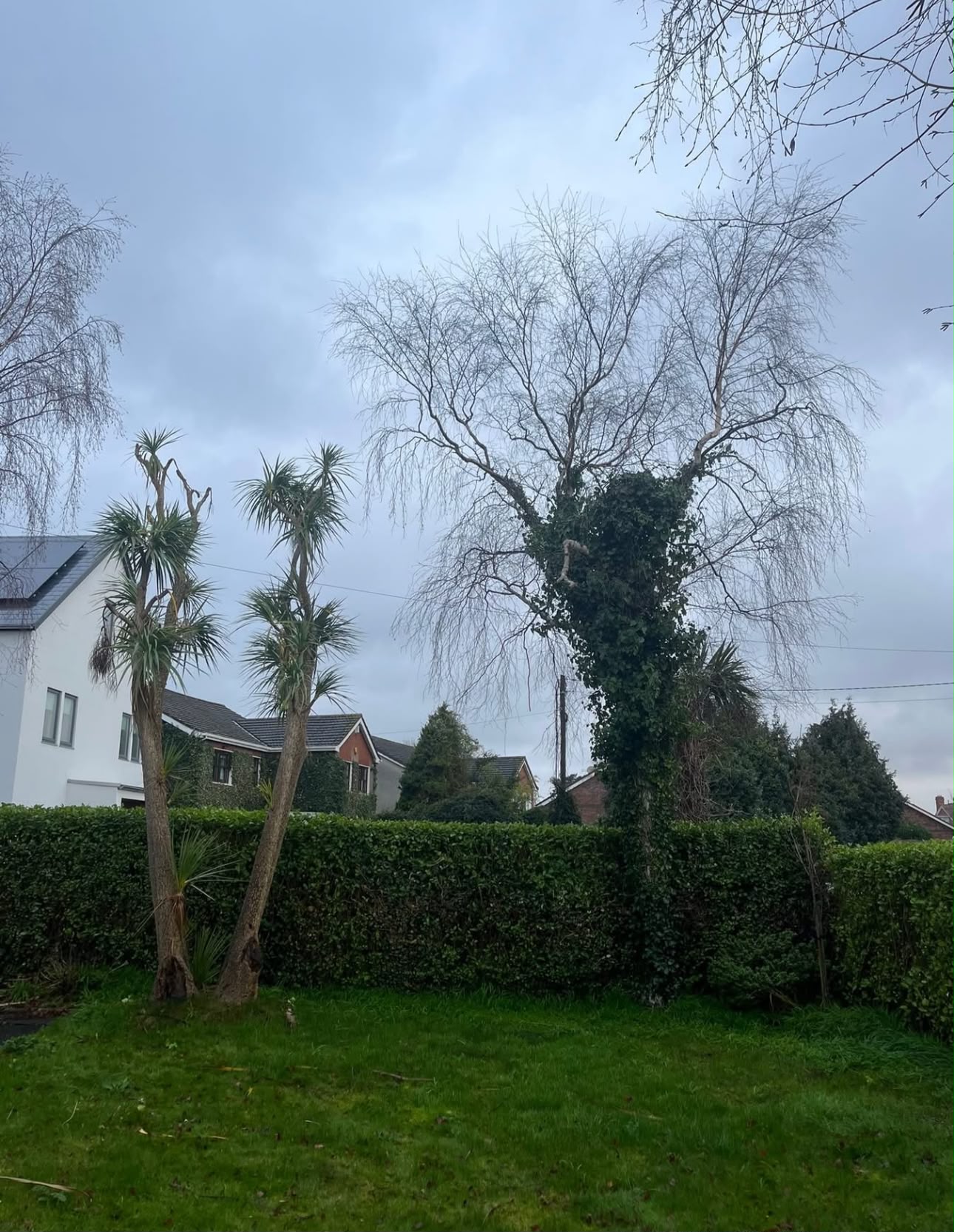 Our approach - All Seasons