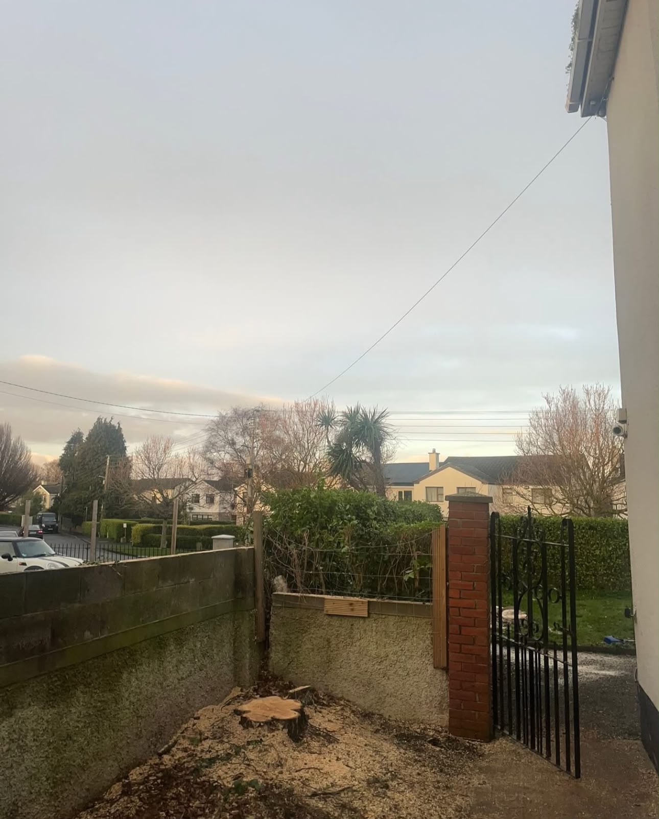 Garden maintenance - All Seasons