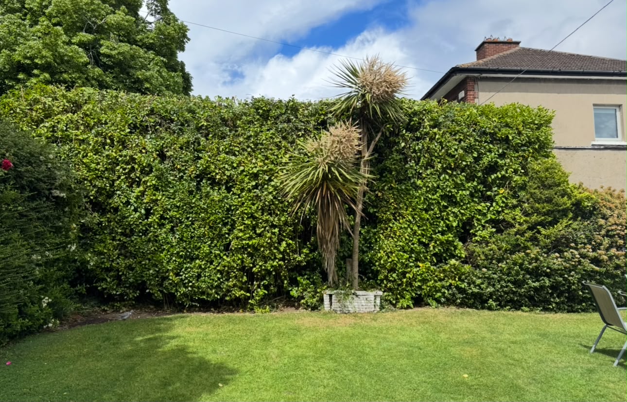 All Seasons Garden & Tree Care - Professional Garden Services in Dublin