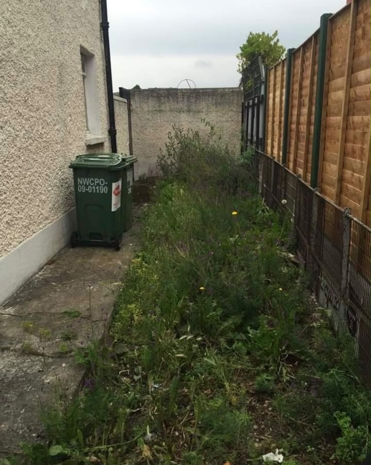 Green Waste Removed